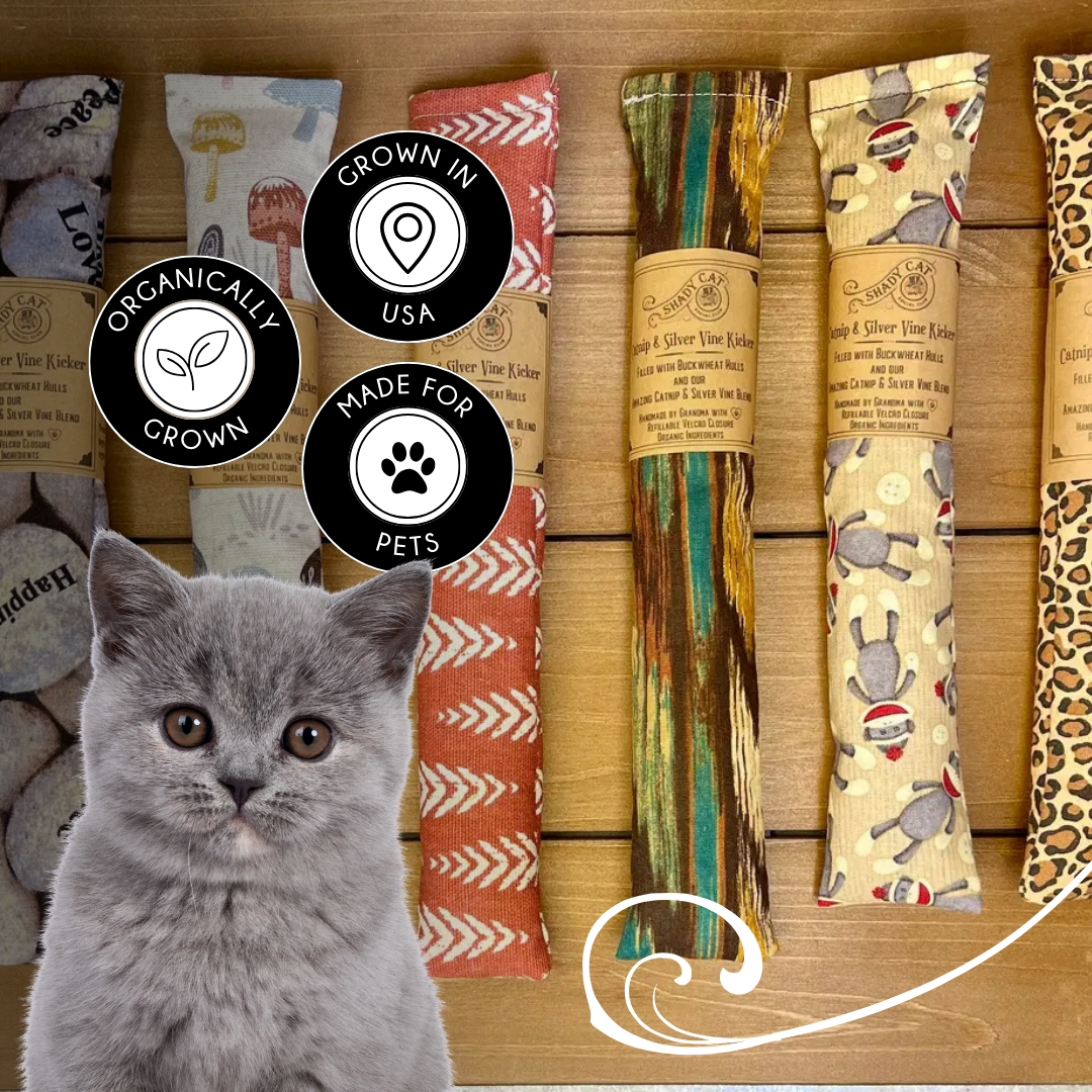 Christmas Gift for Pets | Catnip & Silvervine Kicker Cat Toy