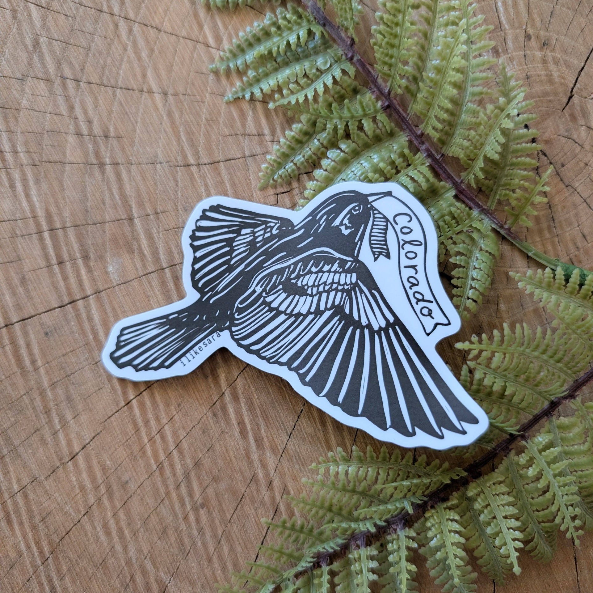 Sticker | Colorado lark bunting - waterproof uv-resistant vinyl state bird decal