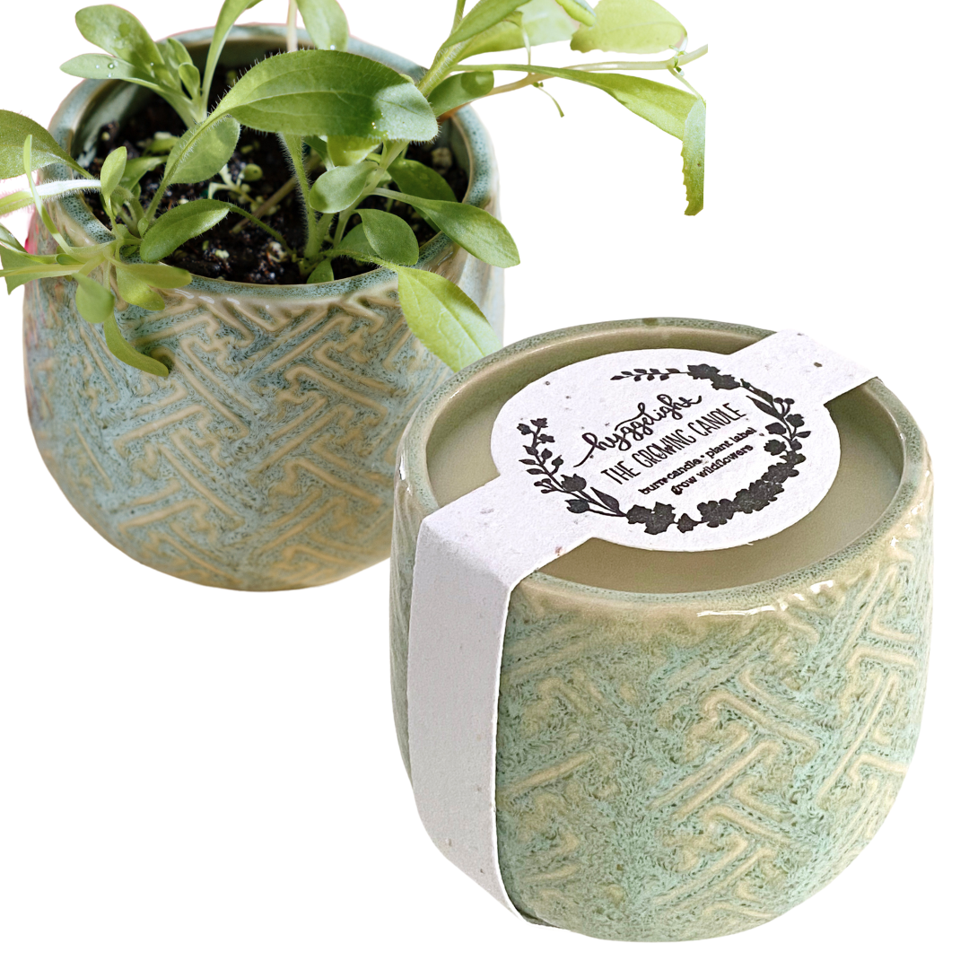Ida | Growing Candle, flower seed-label, gifts, candles