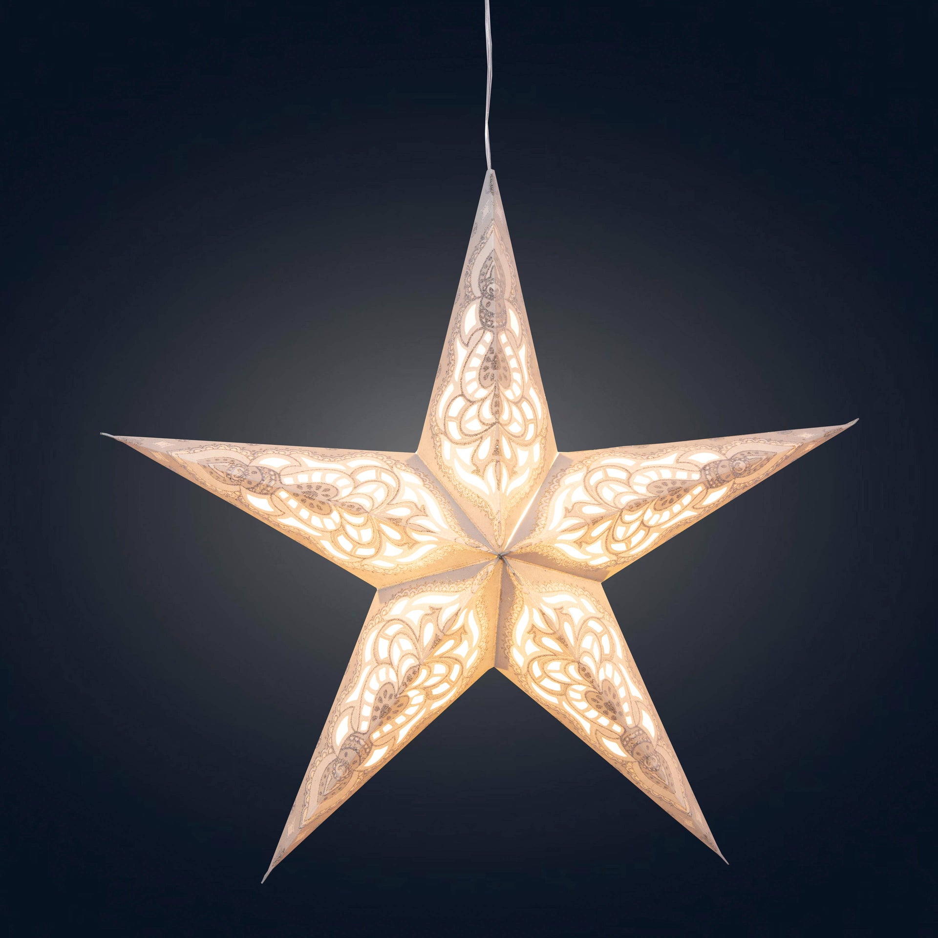 Nigella 5 Point 16" Gray Paper Star Lantern Light