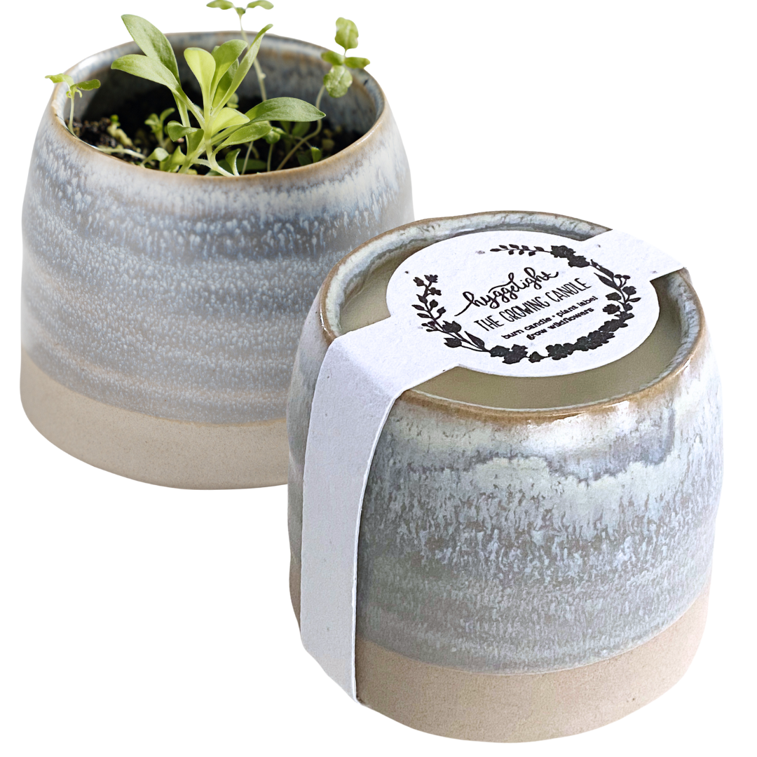 Greta | Growing Candle, flower seed-label, gifts, candles